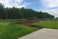 Благоустройство территории малого пруда в Канаше продолжается (фото №3).