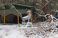 26 марта в Канашском районе прошел День малого предпринимательства (фото №10).