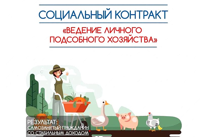Финансовая помощь в сумме 200 тыс. рублей - на развитие личного подсобного хозяйства.