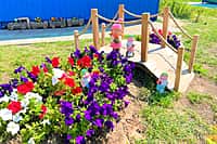 Объявлен республиканский конкурс на лучшее озеленение и благоустройство (фото №3).