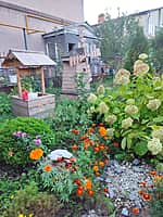 Объявлен республиканский конкурс на лучшее озеленение и благоустройство (фото №1).