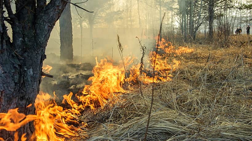 С 10 апреля 2024 года в Чувашии установится особый противопожарный режим.